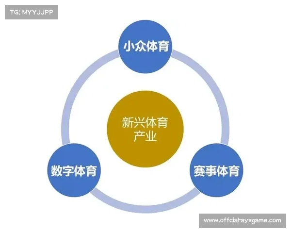 体育产业规划加速实施带动足球领域经济实现显著增长
